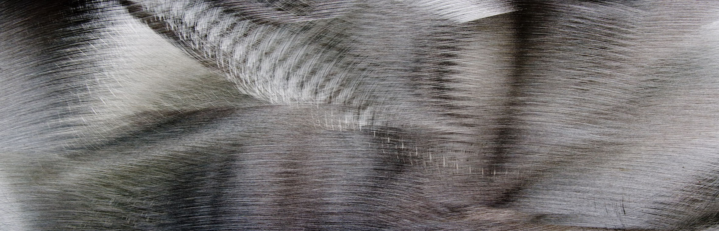 Surface Effects